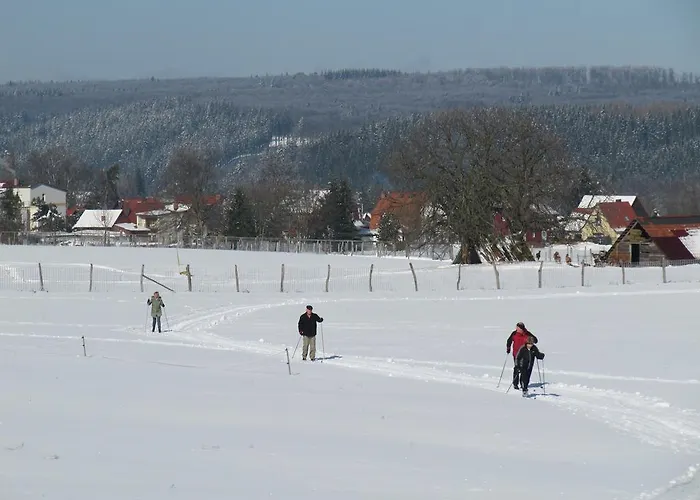 Ferienanlage Harzfreunde Allrode