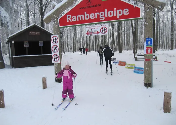 Lägenhet Ferienanlage Harzfreunde Allrode