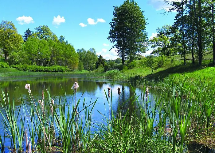 Lägenhet Ferienanlage Harzfreunde *