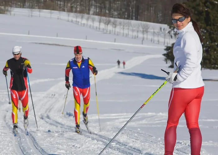 Harzfreunde Apartman